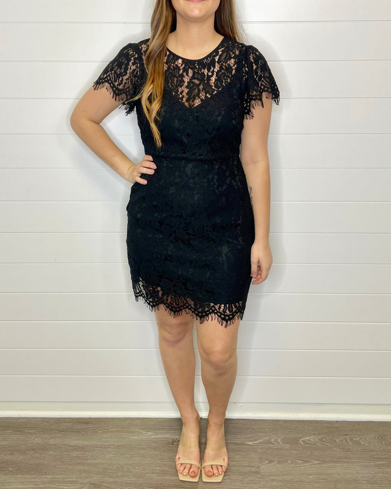 Lace Dainty Dress